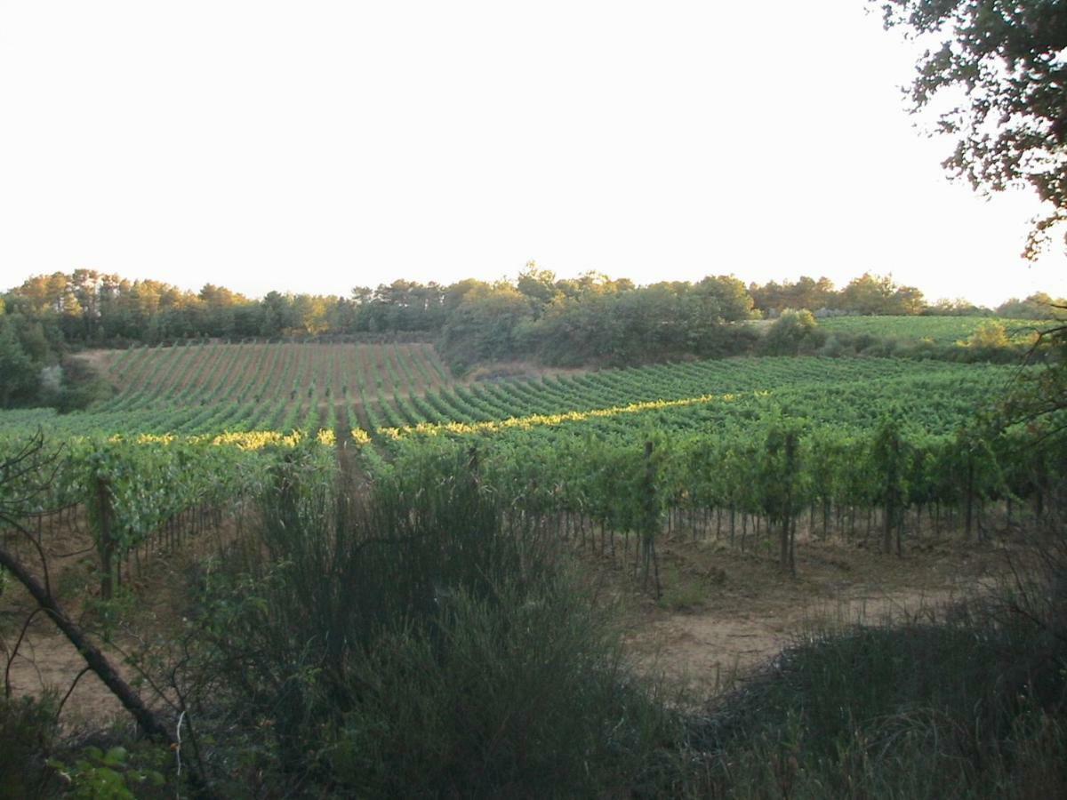 Agriturismo Campo Del Monte Campogialli エクステリア 写真